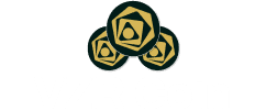 VZR Coin